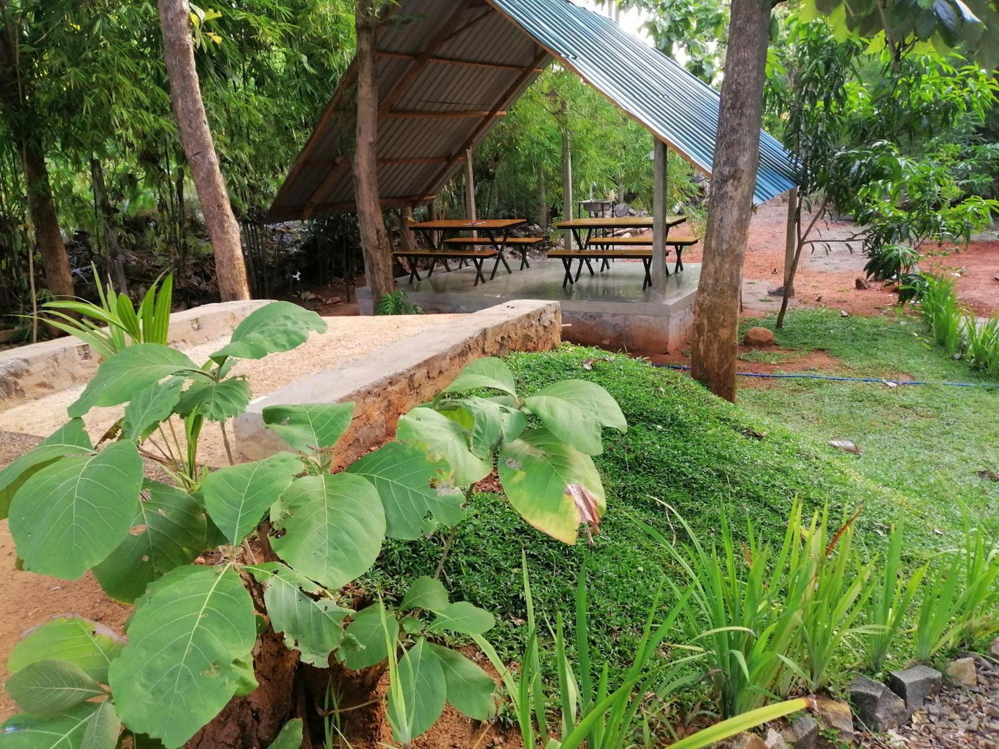 Malwathu Oya Forest Garden Anuradhapura Exterior photo